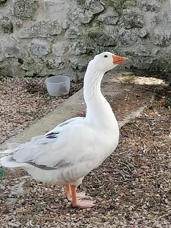מלון La Gimond Le Domaine De La Plume מראה חיצוני תמונה